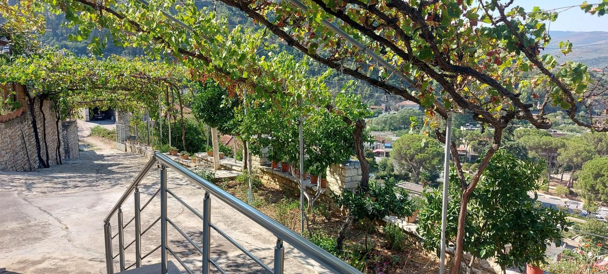 Green Forest Berat Exteriér fotografie